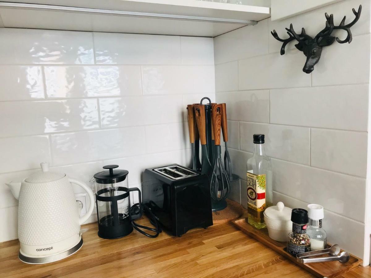 Riga Silent Center Boutique Apt. +Free Parking エクステリア 写真